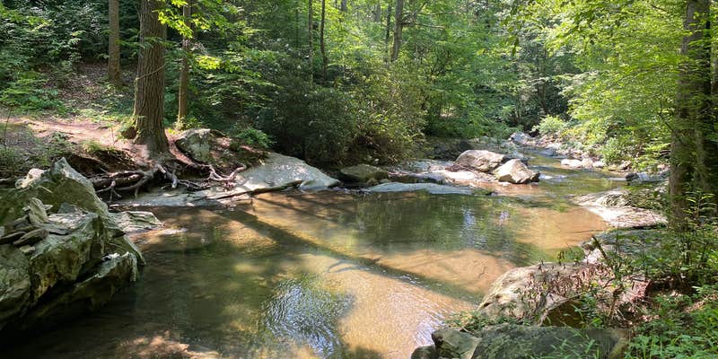 Camper submitted image from Goforth Creek Campground B