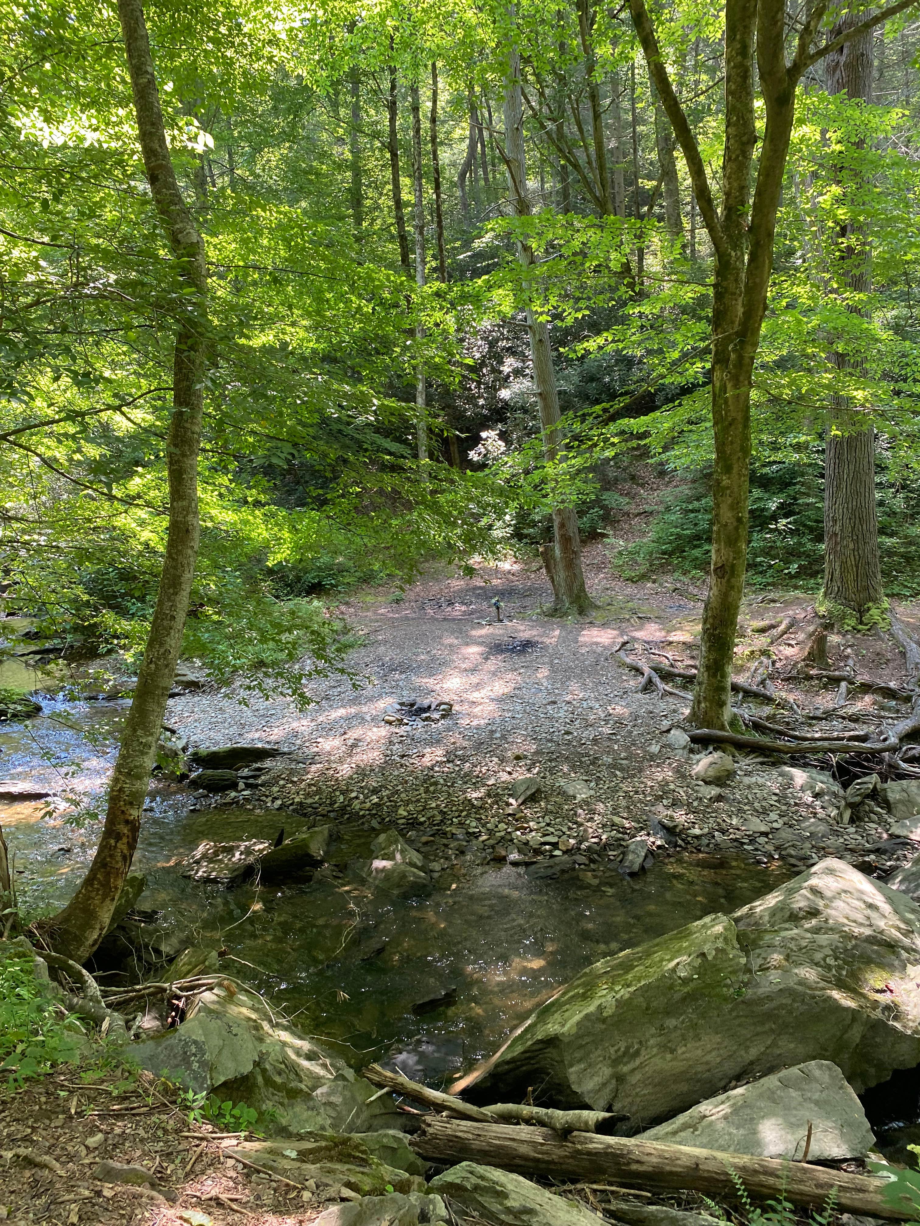 Camper-submitted photo at Goforth Creek Campground B near McCaysville, GA