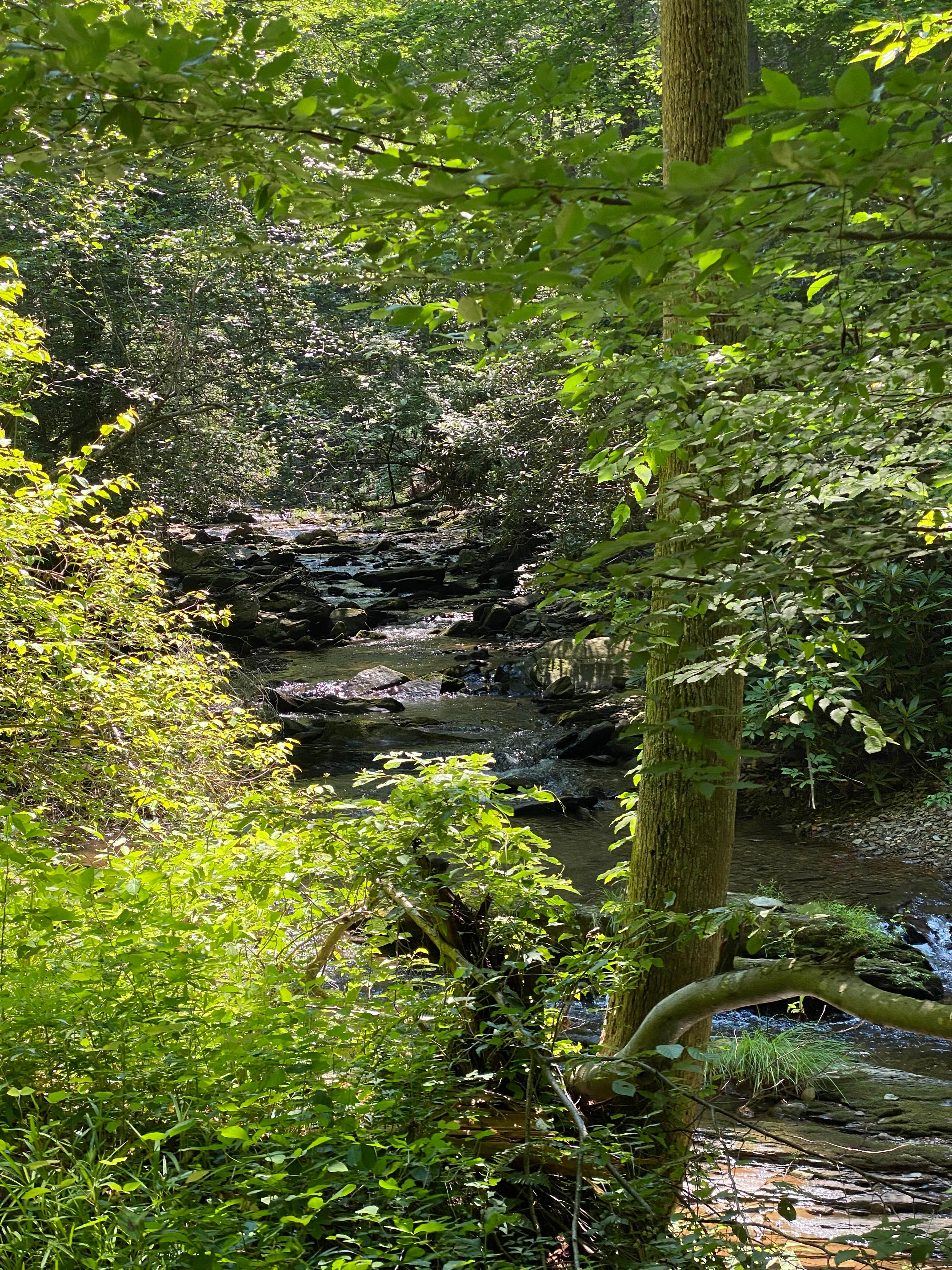 Camper-submitted photo at Goforth Creek Campground B near McCaysville, GA