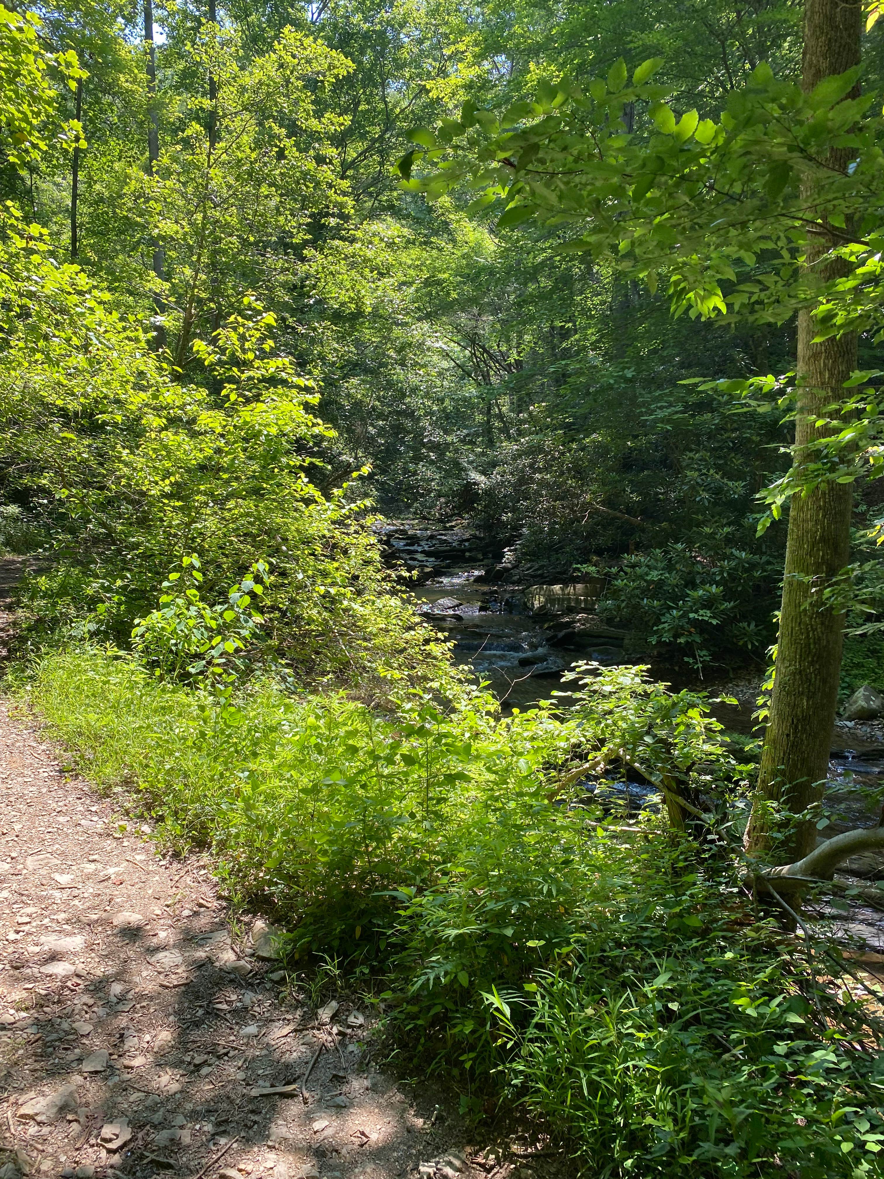 Camper-submitted photo at Goforth Creek Campground B near McCaysville, GA