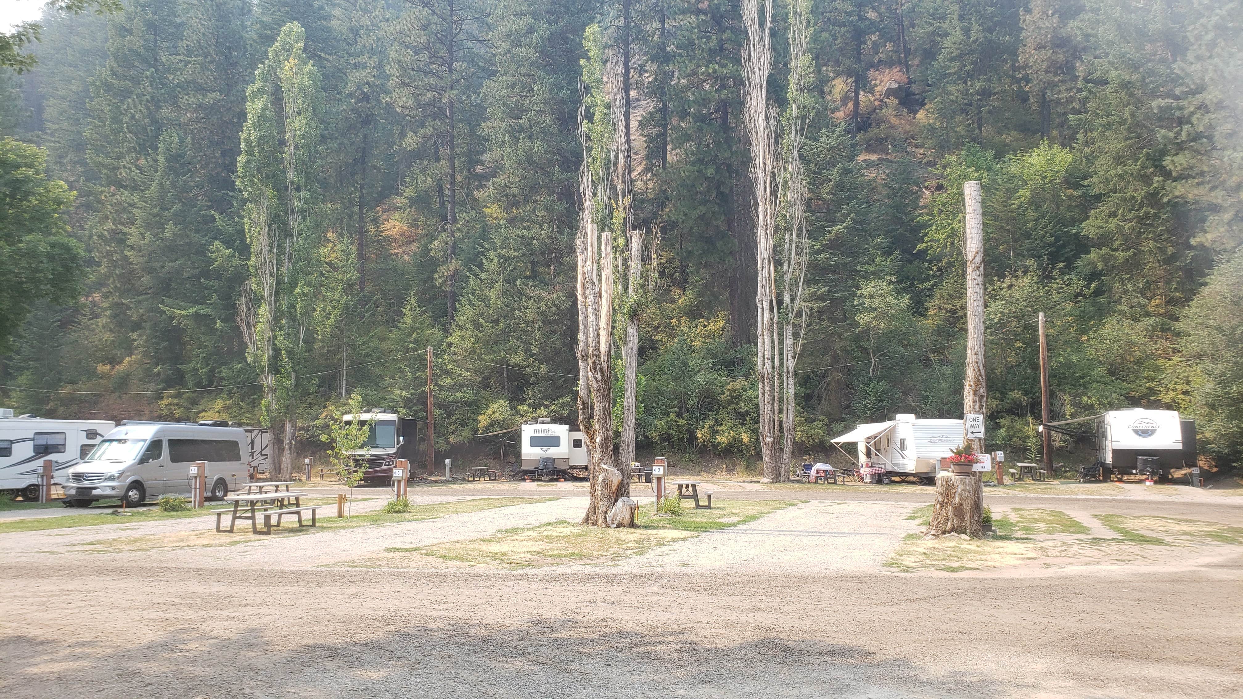 Camper submitted image from Wolf Lodge Campground - 5