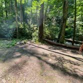 Review photo of Goforth Creek Campground C by Asher K., August 1, 2021