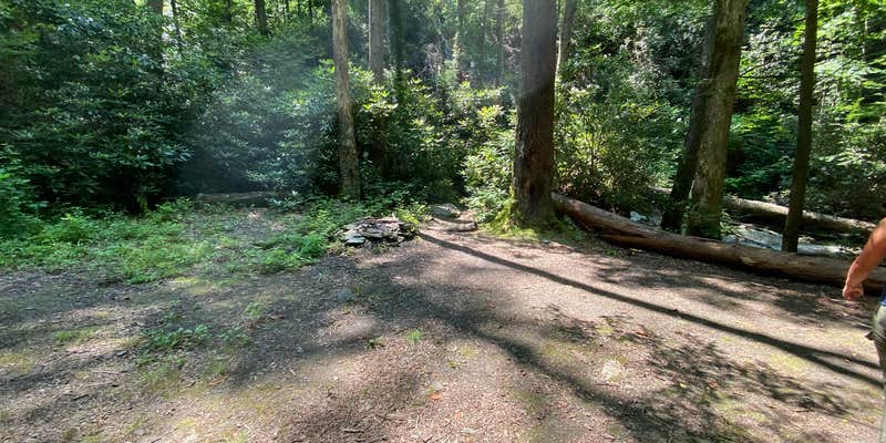 Camper submitted image from Goforth Creek Campground C