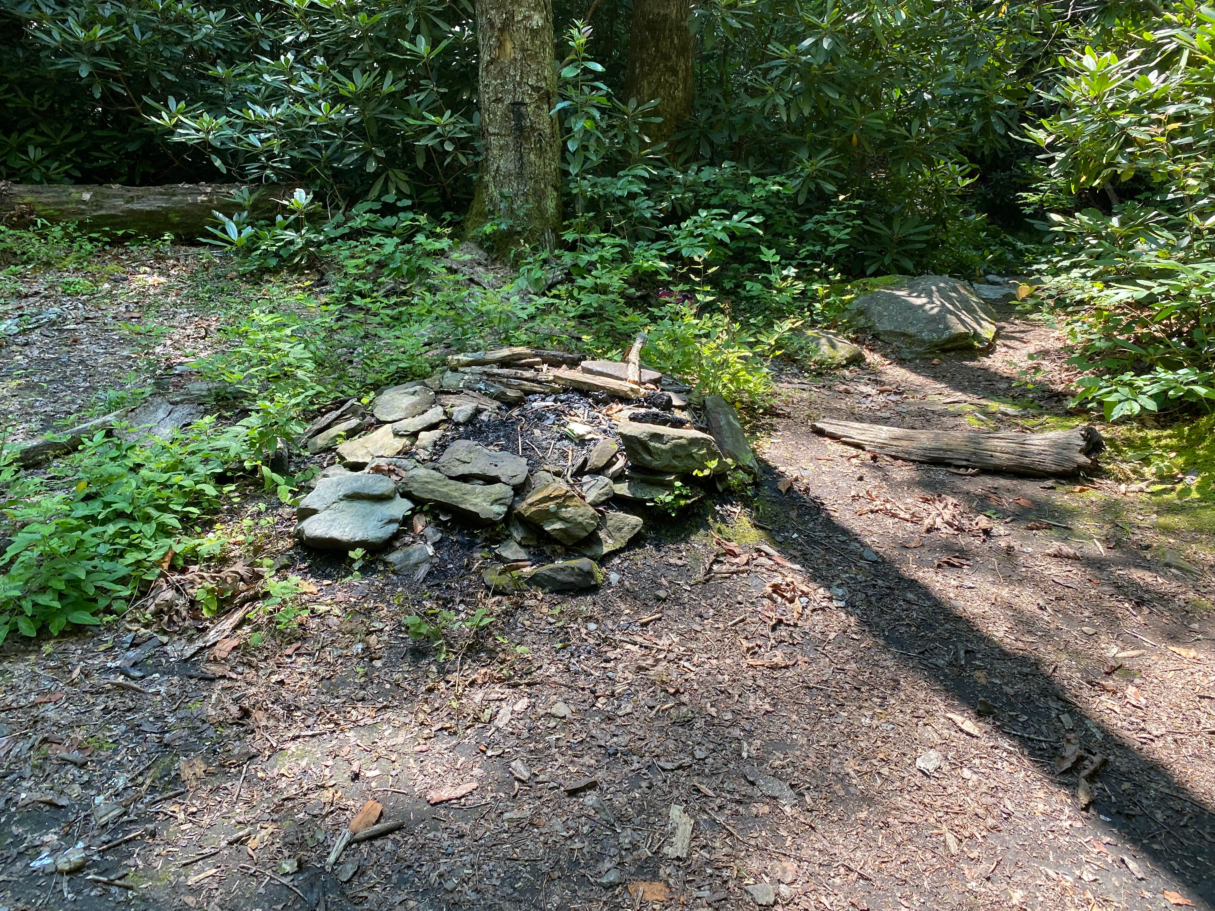 Camper-submitted photo at Goforth Creek Campground C near Farner, TN