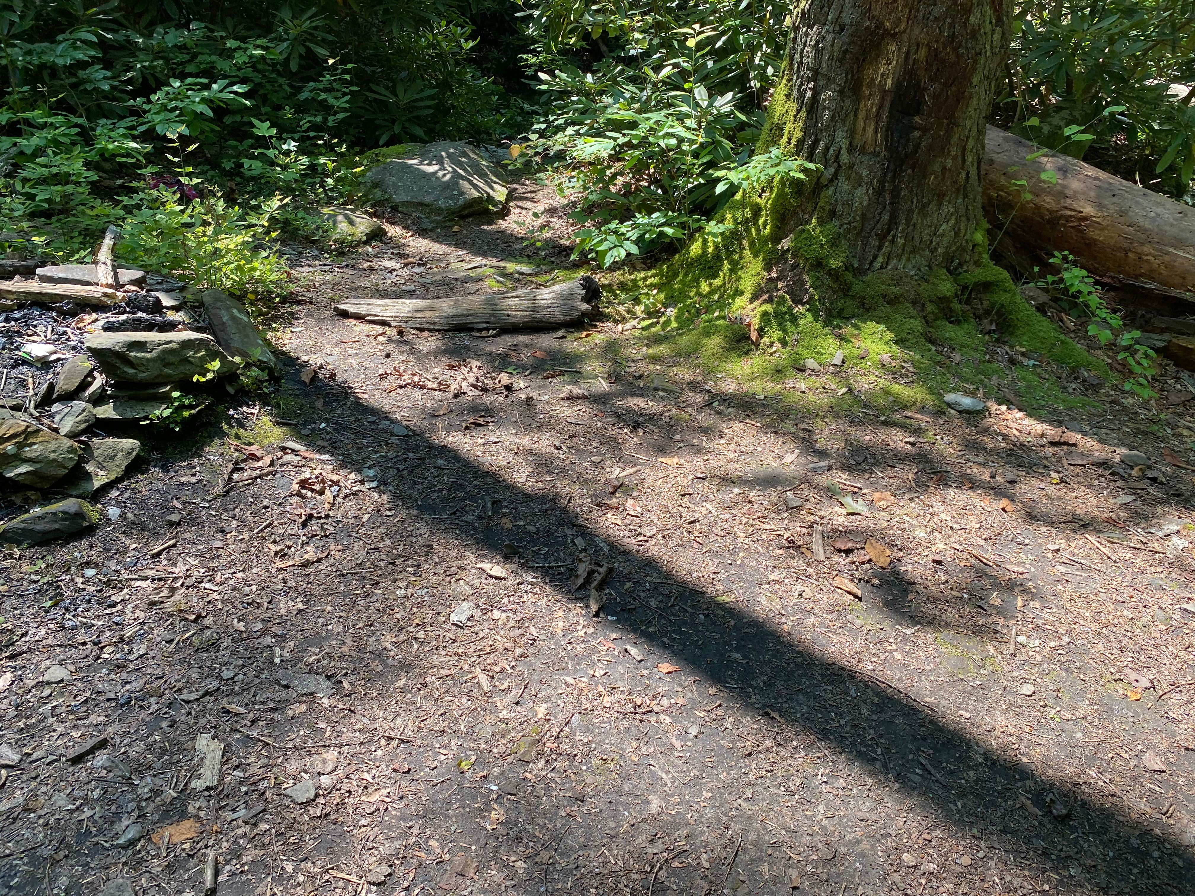 Camper-submitted photo at Goforth Creek Campground C near Farner, TN