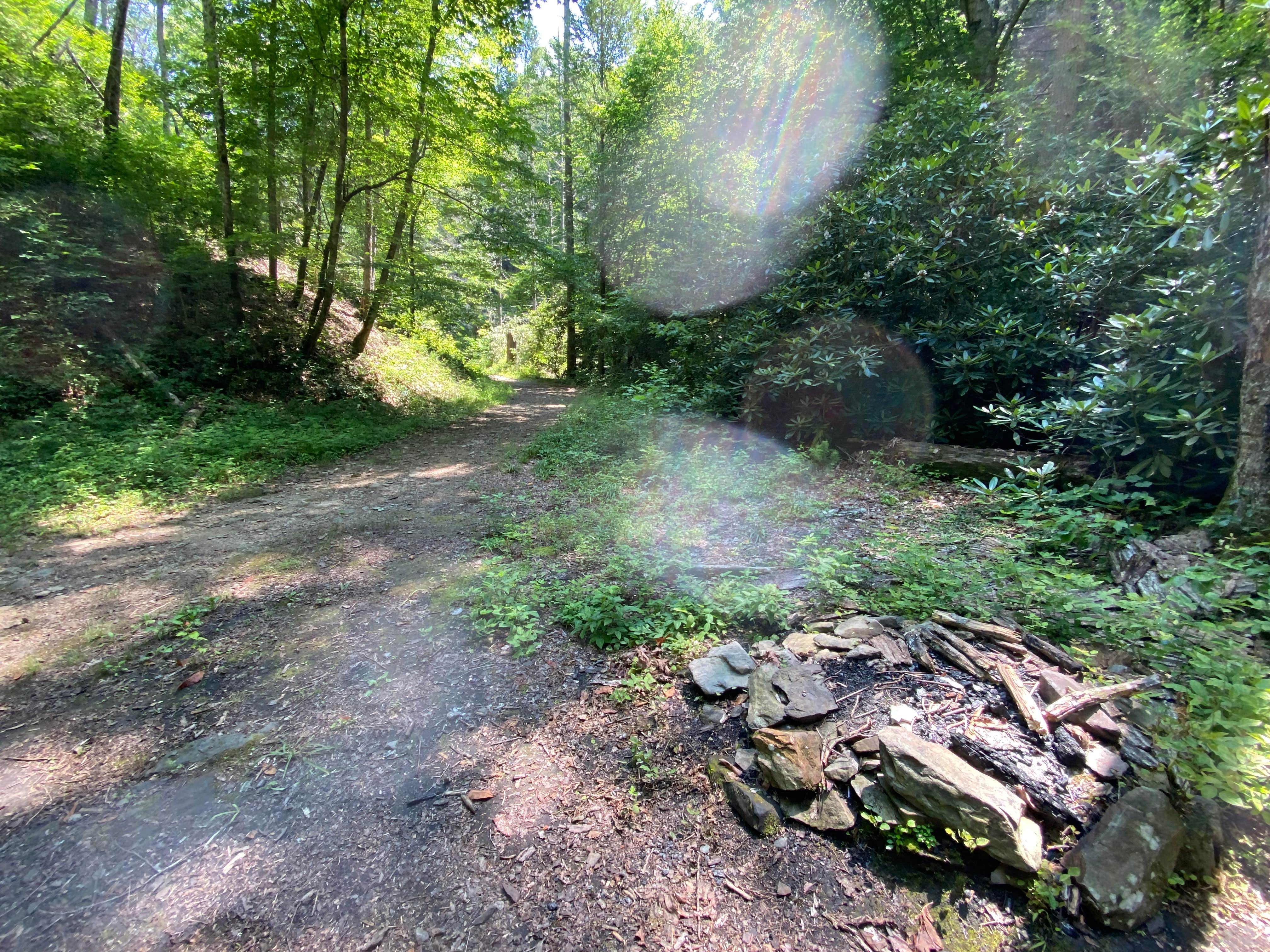 Camper-submitted photo at Goforth Creek Campground C near Farner, TN