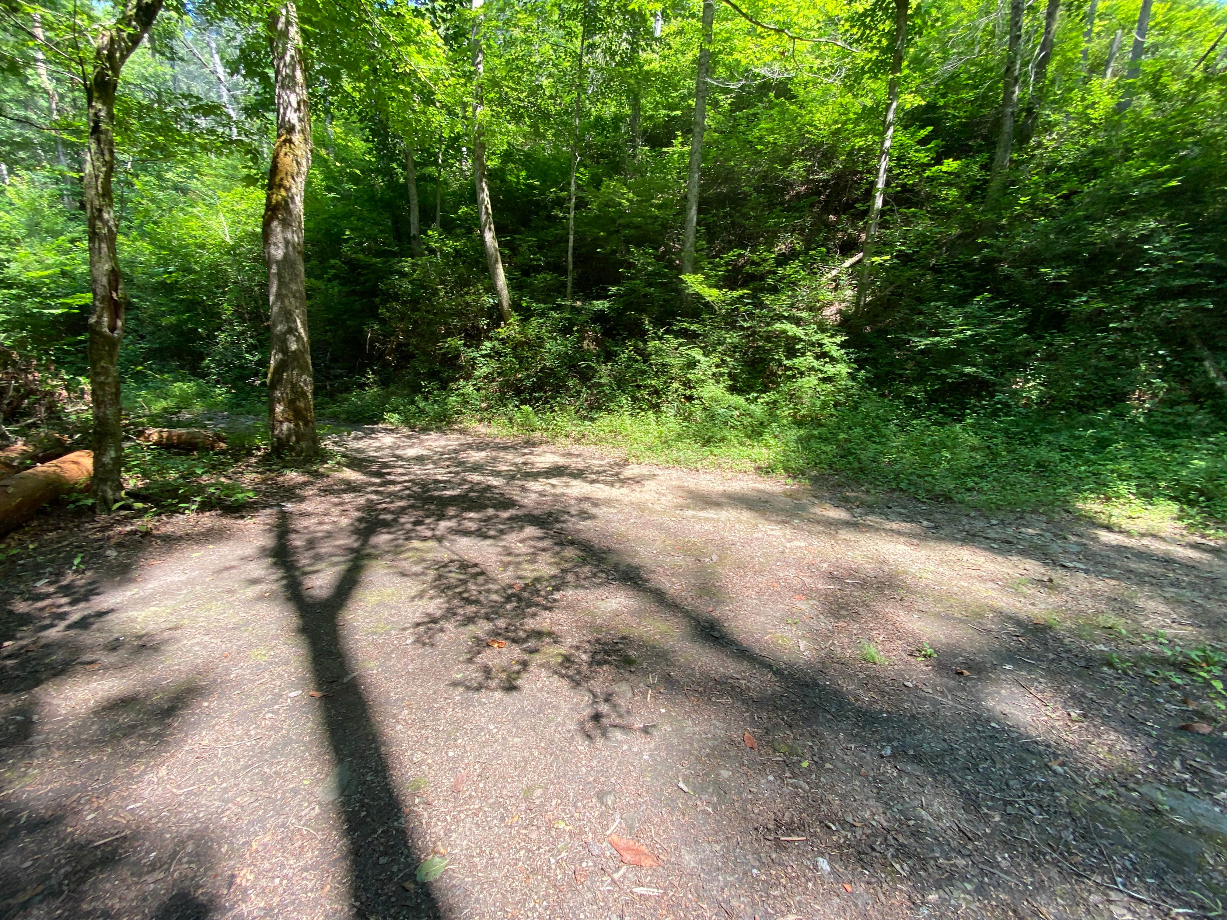 Camper-submitted photo at Goforth Creek Campground C near Farner, TN
