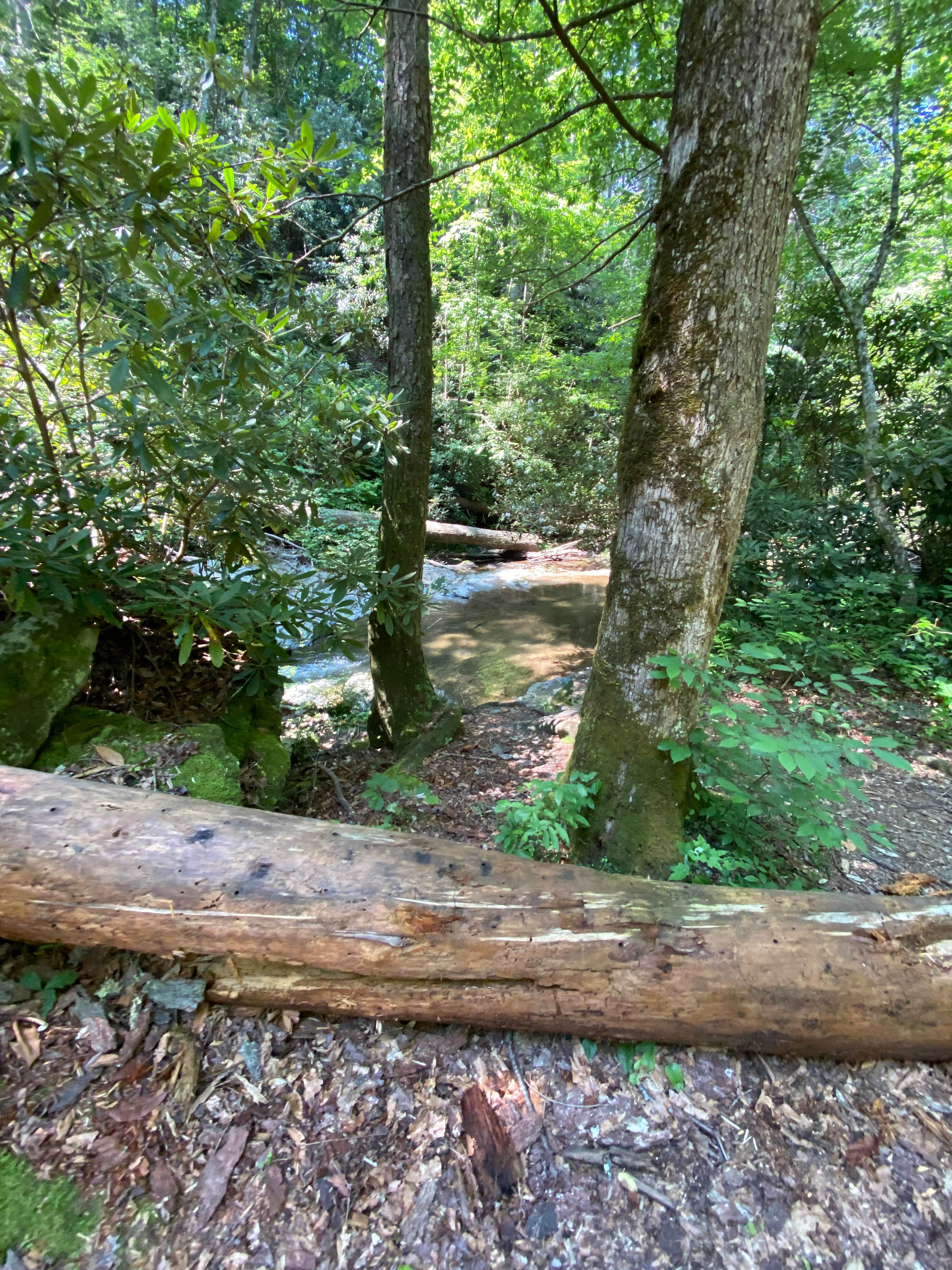 Camper-submitted photo at Goforth Creek Campground C near Farner, TN