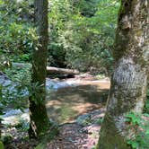 Review photo of Goforth Creek Campground C by Asher K., August 1, 2021