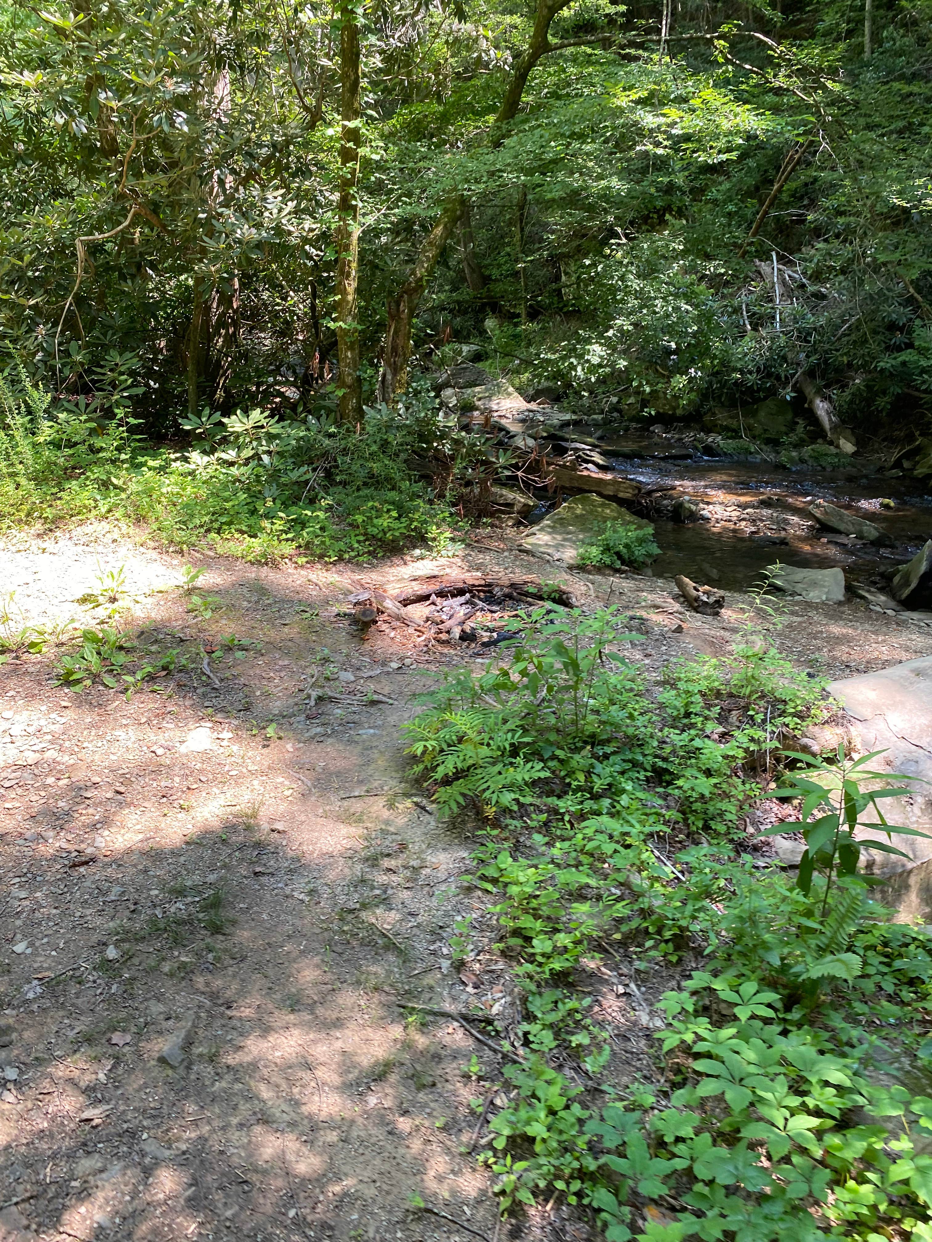 Camping near Parksville Lake RV Campground: Goforth Creek Campground D, Reliance, Tennessee