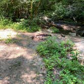 Review photo of Goforth Creek Campground D by Asher K., August 1, 2021