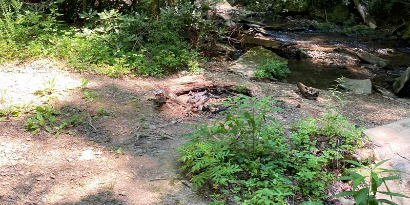 Camper submitted image from Goforth Creek Campground D