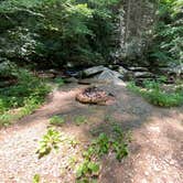 Review photo of Goforth Creek Campground D by Asher K., August 1, 2021