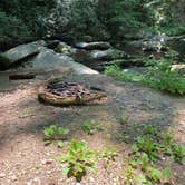 Review photo of Goforth Creek Campground D by Asher K., August 1, 2021