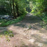 Review photo of Goforth Creek Campground D by Asher K., August 1, 2021