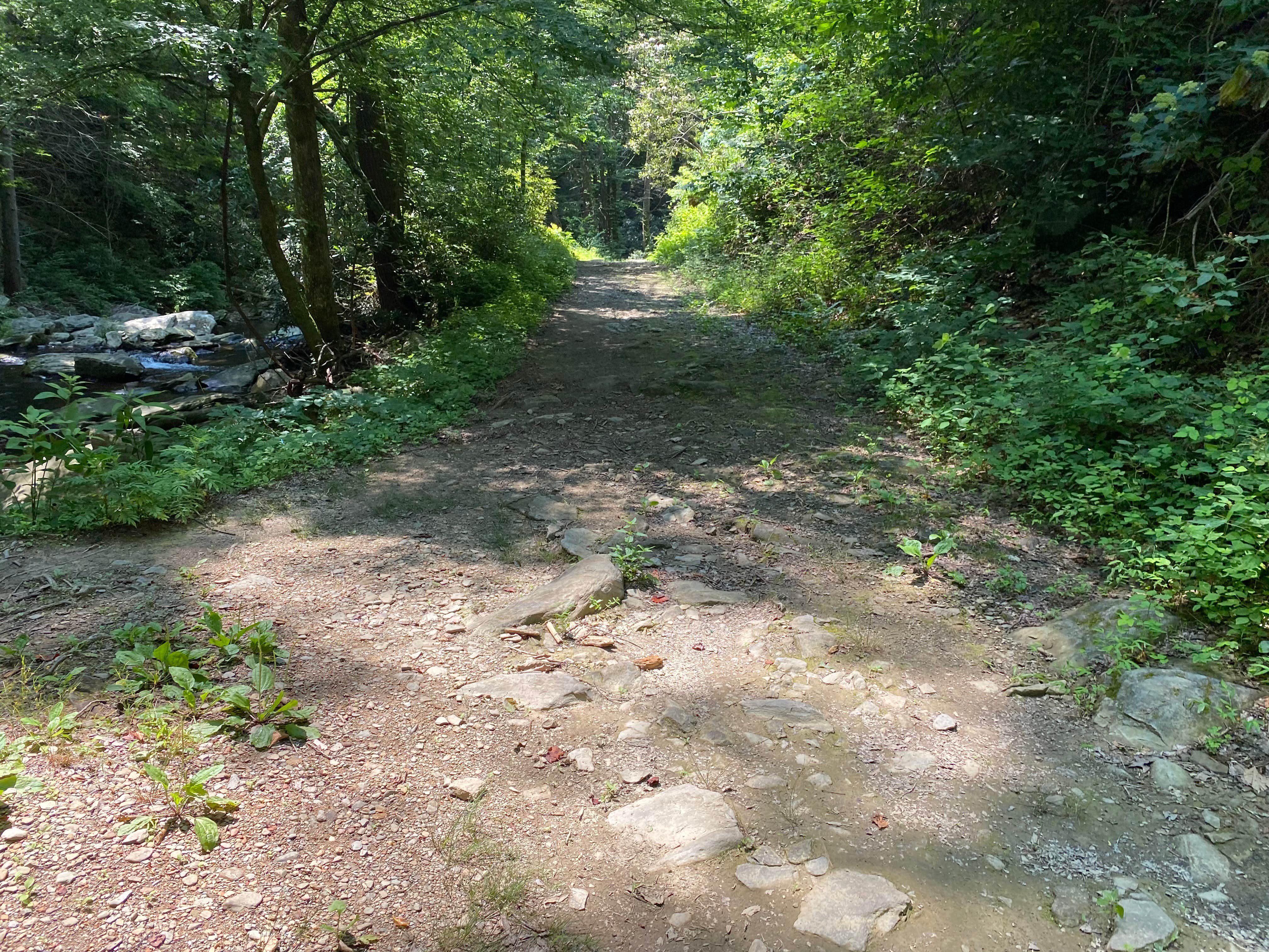 Camper submitted image from Goforth Creek Campground D - 5
