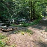 Review photo of Goforth Creek Campground D by Asher K., August 1, 2021