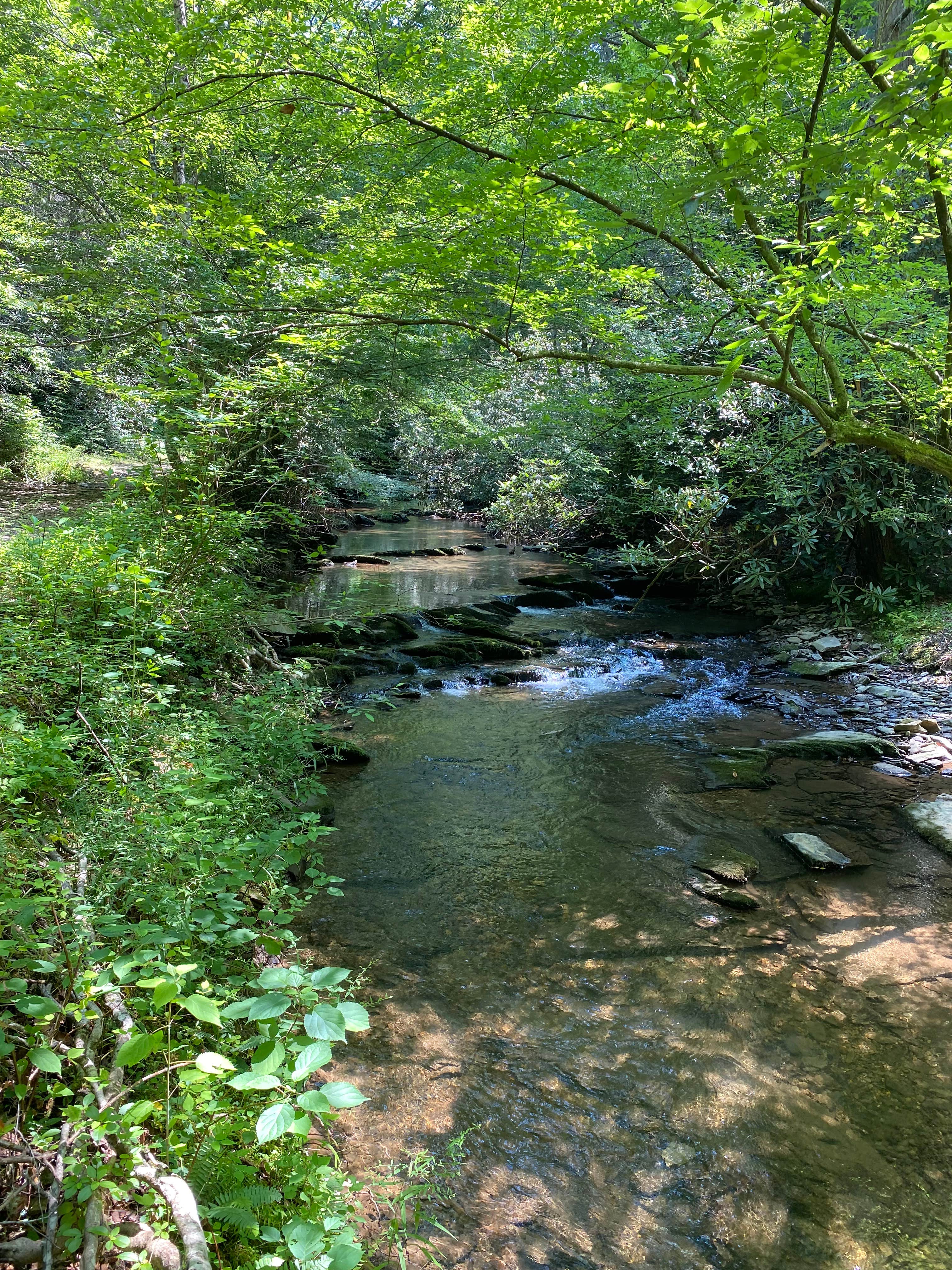 Camper submitted image from Goforth Creek Campground D - 4