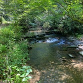 Review photo of Goforth Creek Campground D by Asher K., August 1, 2021