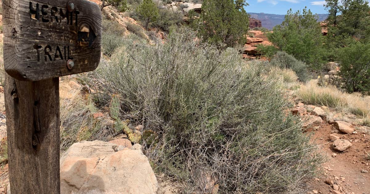 Granite Rapids Area Campsites — Grand Canyon National Park