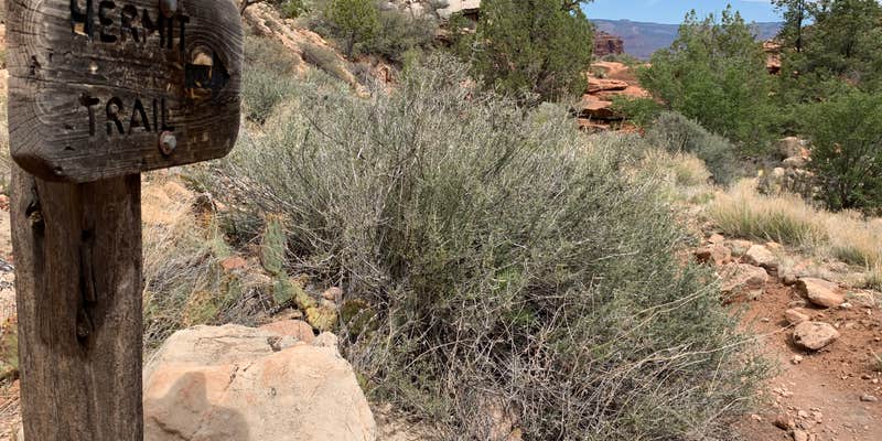 Camper submitted image from Granite Rapids Area Campsites — Grand Canyon National Park