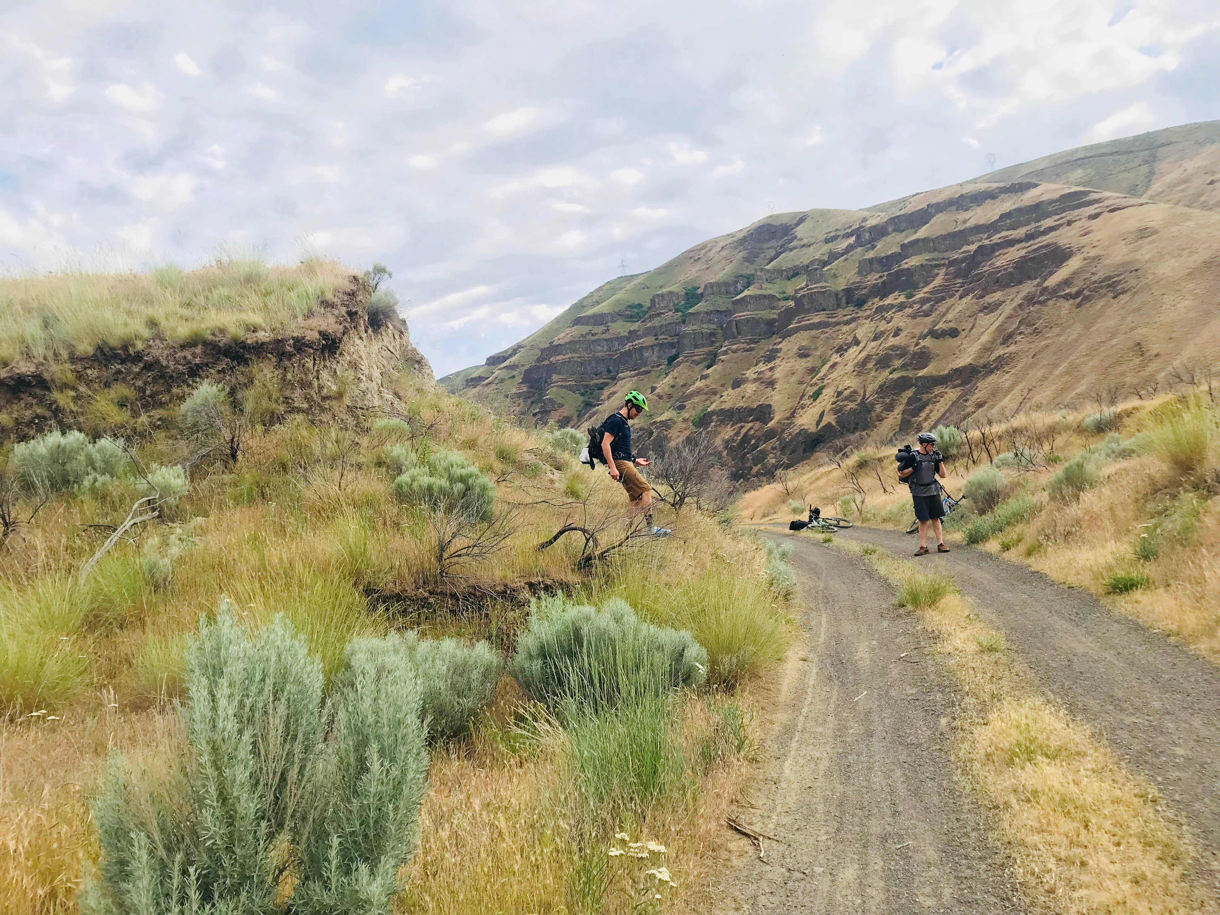 Camper submitted image from Hike in from Lower Deschutes State Rec Area - 4