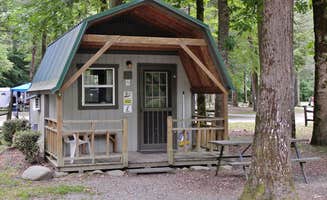 Myron C.'s photo of glamping accommodations at Yogi in the smokies near Franklin, NC