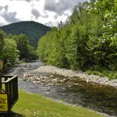 Review photo of Yogi in the smokies by Myron C., August 1, 2021