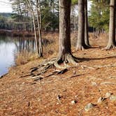 Review photo of Tully Lake Recreation Area (MA) — Tully Lake by Jean C., August 1, 2021