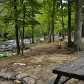 Review photo of Yogi in the smokies by Myron C., August 1, 2021