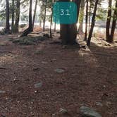 Review photo of Tully Lake Recreation Area (MA) — Tully Lake by Jean C., August 1, 2021