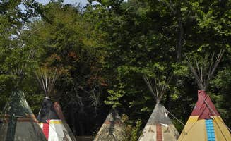 Myron C.'s photo at Grumpy Bear Campground near Whittier, NC