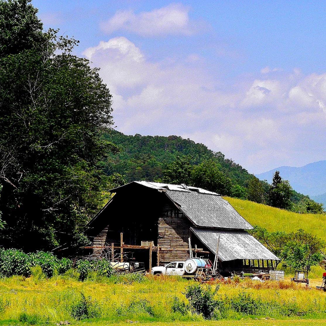 Grumpy Bear Campground Camping The Dyrt