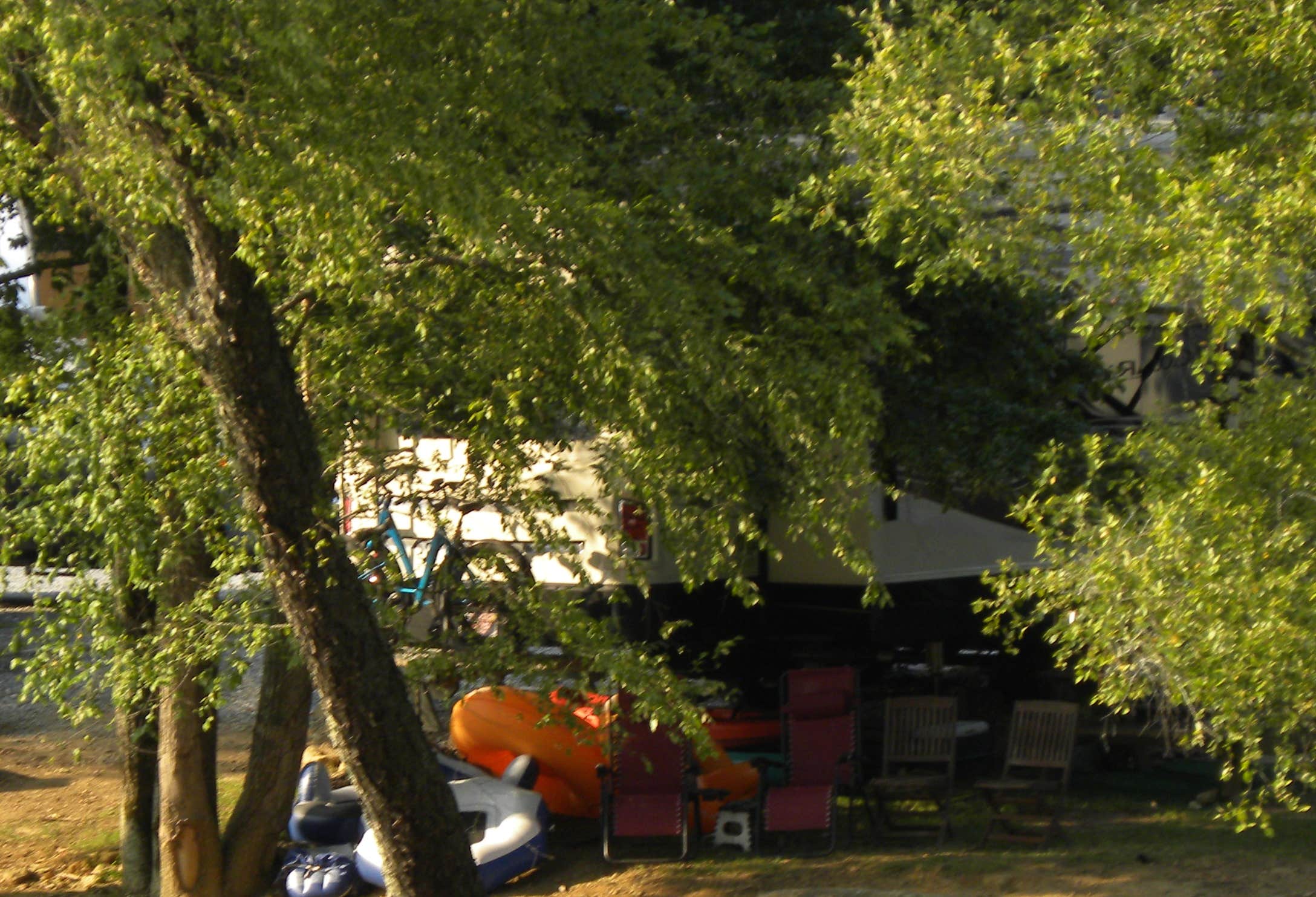 Camper submitted image from Grumpy Bear Campground - 4