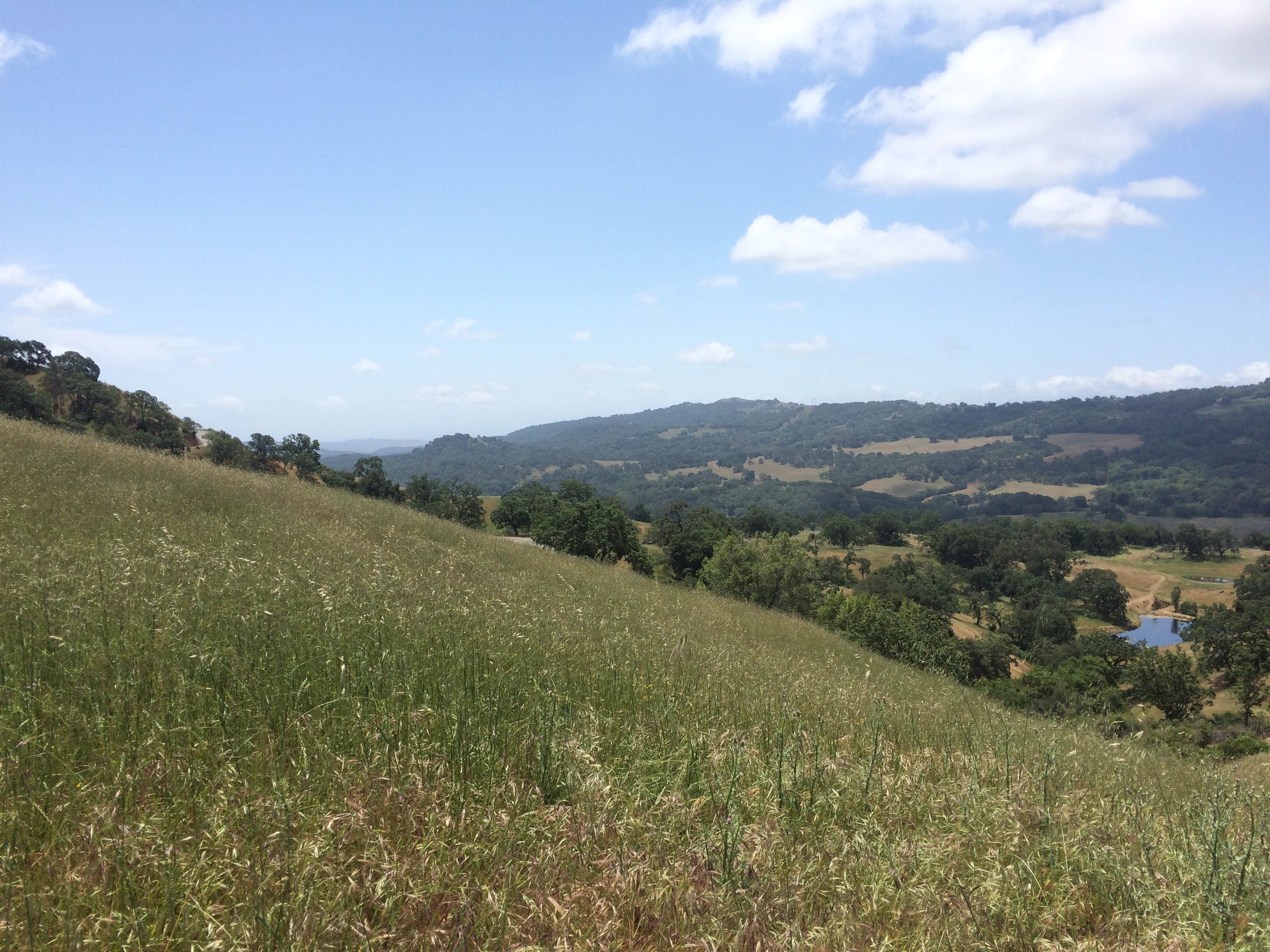 Camper-submitted photo at Joseph D Grant County Park - Horse Camp near Capitola, CA
