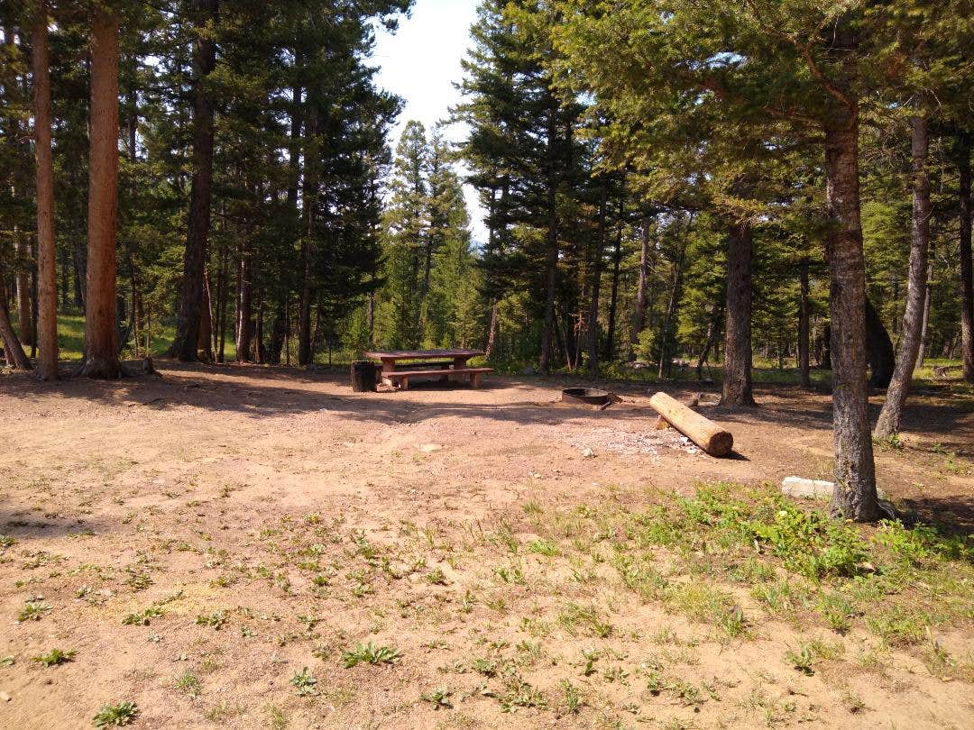 Camper-submitted photo at Deerlodge National Forest Orofino Campground near Deer Lodge, MT