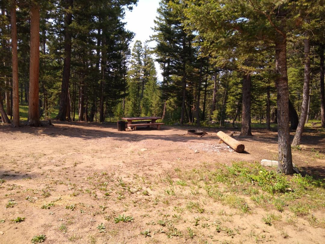 Camper submitted image from Deerlodge National Forest Orofino Campground - 2