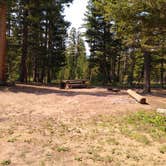 Review photo of Deerlodge National Forest Orofino Campground by Dexter I., August 1, 2021