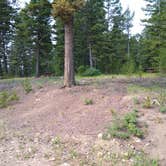 Review photo of Deerlodge National Forest Orofino Campground by Dexter I., August 1, 2021