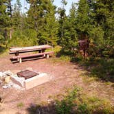 Review photo of Deerlodge National Forest Orofino Campground by Dexter I., August 1, 2021