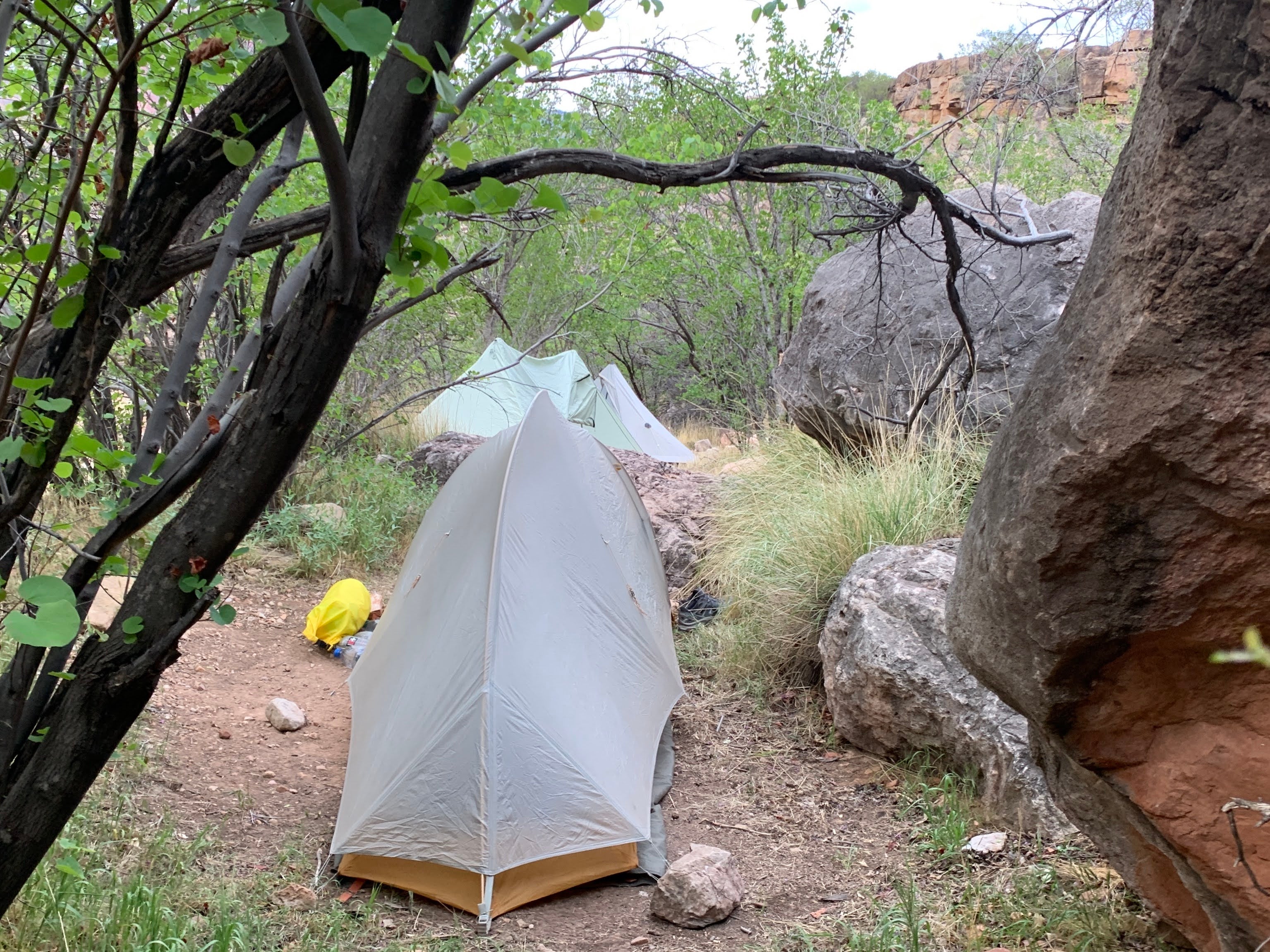 Camper submitted image from Horn Creek Campsites — Grand Canyon National Park - 1