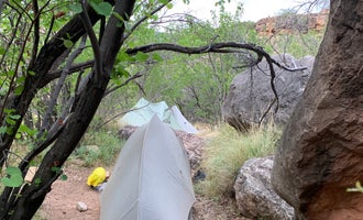Camping near Hermit Rapids: Horn Creek Campsites — Grand Canyon National Park, Grand Canyon, Arizona