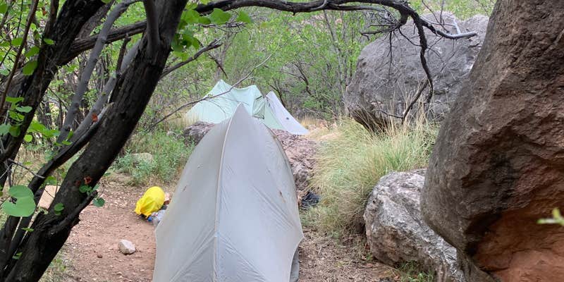Camper submitted image from Horn Creek Campsites — Grand Canyon National Park