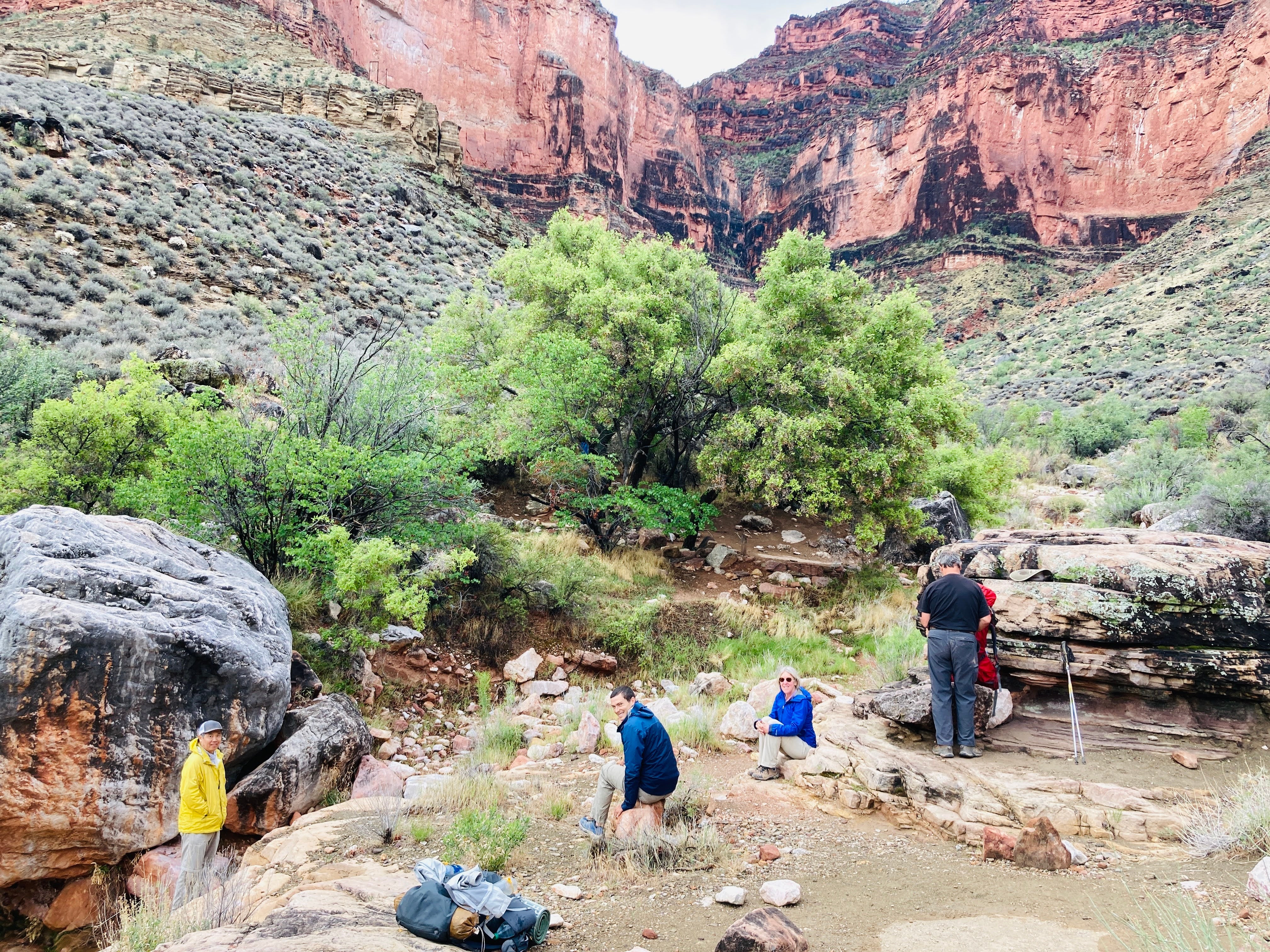 Camper submitted image from Horn Creek Campsites — Grand Canyon National Park - 3