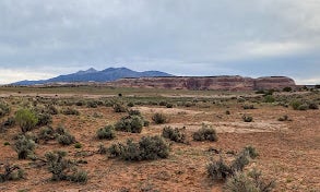 Camping near Windwhistle Group Site: Looking Glass Road (Dispersed), La Sal, Utah