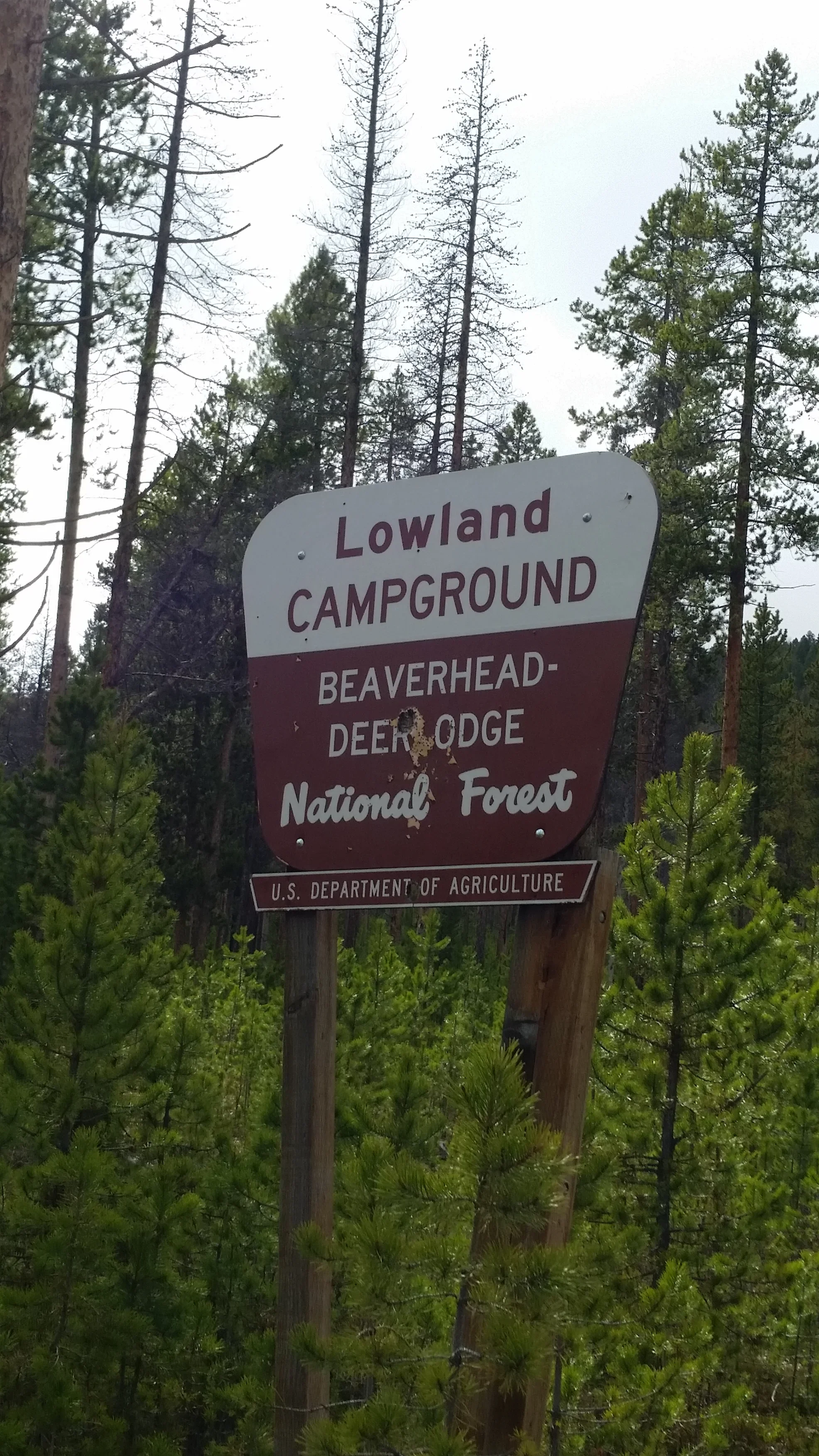 Camper submitted image from Deerlodge National Forest Lowland Campground - 1