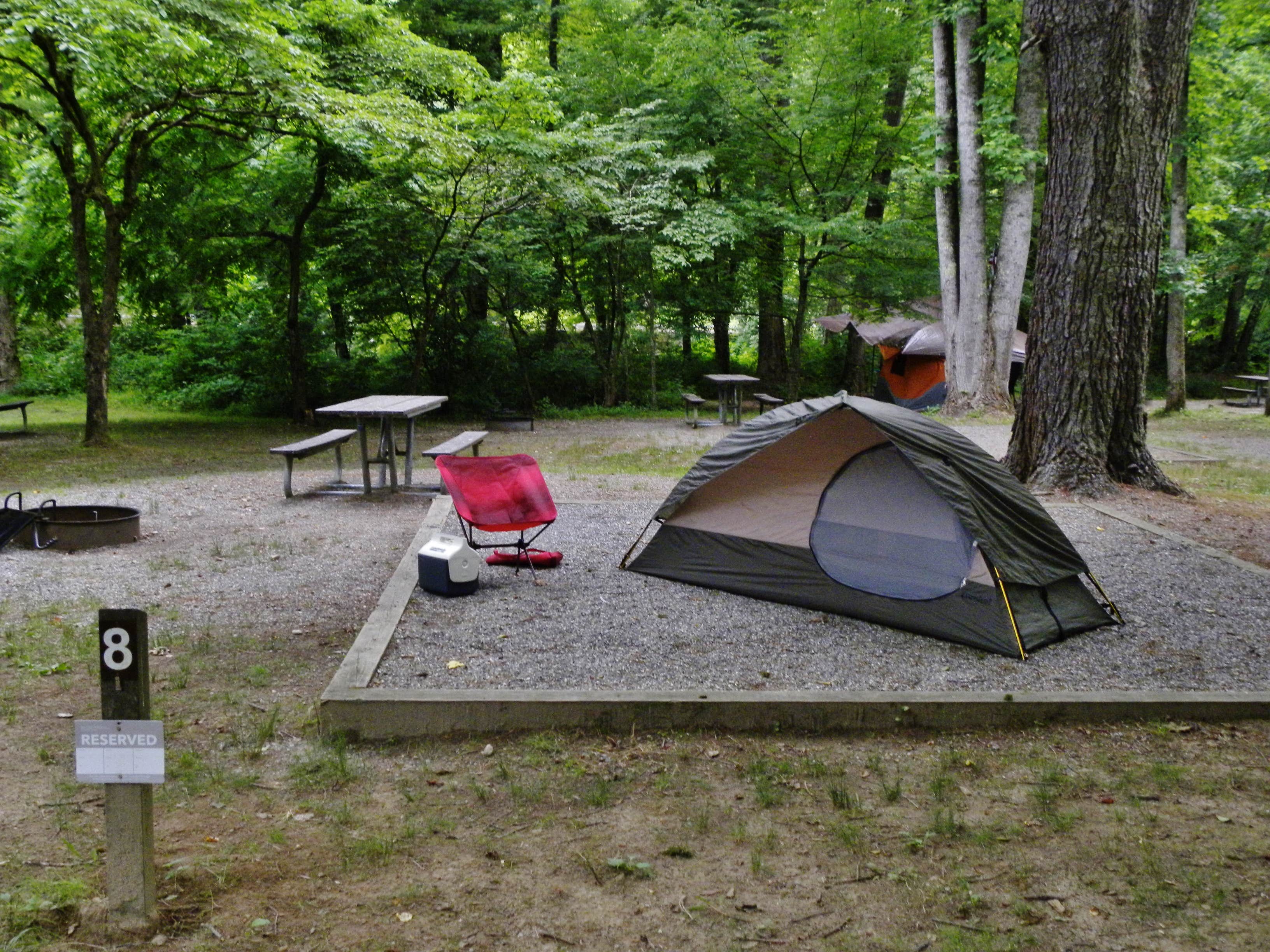 Myron C.'s photo at Deep Creek Campground — Great Smoky Mountains National Park near Bryson City, NC