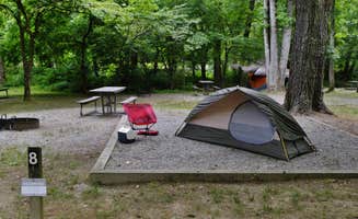 Myron C.'s photo at Deep Creek Campground — Great Smoky Mountains National Park near Whittier, NC
