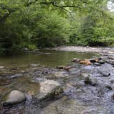 Review photo of Deep Creek Campground — Great Smoky Mountains National Park by Myron C., August 1, 2021