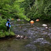 Review photo of Deep Creek Campground — Great Smoky Mountains National Park by Myron C., August 1, 2021